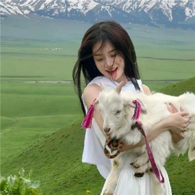 精灵宝可梦:大家的故事